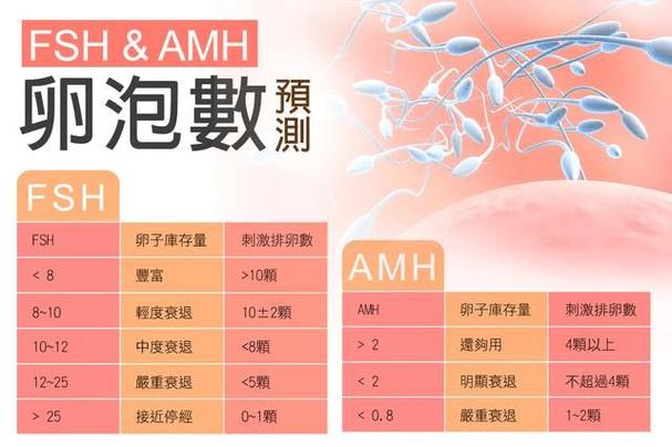 国内可以供卵试管吗(国内可供卵试管婴儿的相关政策及流程介绍)