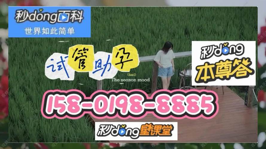 国内借卵试管代怀包男孩_国内借卵试管代怀包男孩的故事