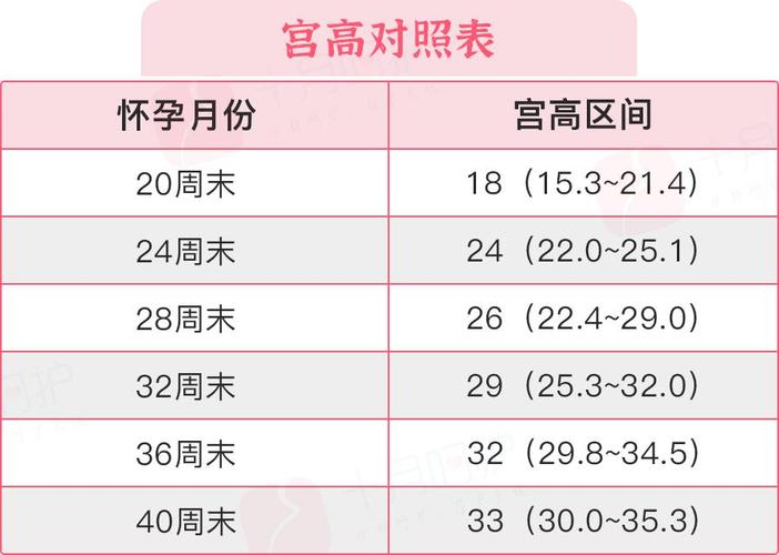 国内借卵试管代怀费用表-国内借卵试管代怀费用表解析