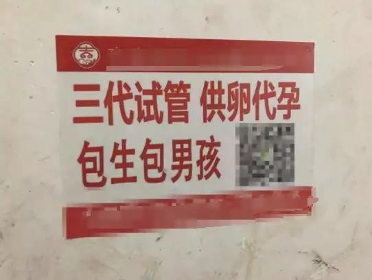 供卵包怀孕包生儿子-供卵包怀孕包生儿子:实现梦想的全新选择”