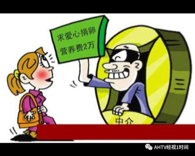 供卵犯罪吗【供卵犯罪吗:法律与伦理的边界】