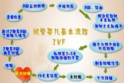 国内正规试管代怀服务机构_国内正规试管代怀服务机构全方位解读