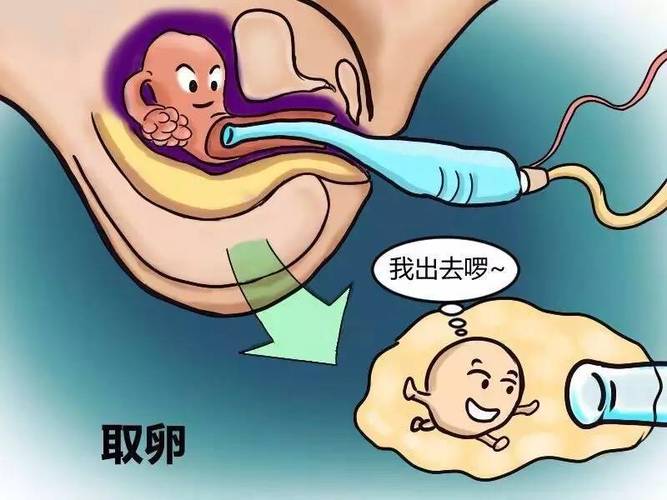 国内供卵试管代怀可靠吗_国内供卵试管代怀是否可靠？